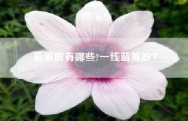 蓝筹股有哪些?一线蓝筹股？
