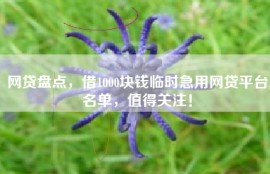 网贷盘点，借1000块钱临时急用网贷平台名单，值得关注！