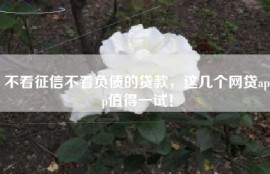 不看征信不看负债的贷款，这几个网贷app值得一试！