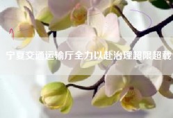 宁夏交通运输厅全力以赴治理超限超载