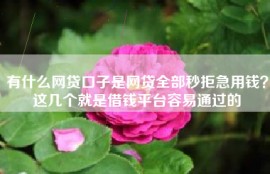 有什么网贷口子是网贷全部秒拒急用钱？这几个就是借钱平台容易通过的
