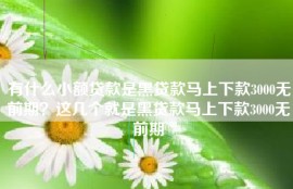 有什么小额贷款是黑贷款马上下款3000无前期？这几个就是黑贷款马上下款3000无前期