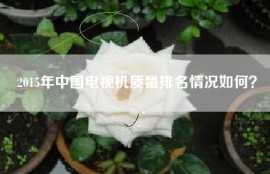 2015年中国电视机质量排名情况如何？