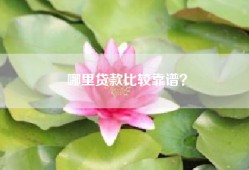 哪里贷款比较靠谱？