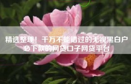精选整理！千万不能错过的无视黑白户必下款的网贷口子网贷平台