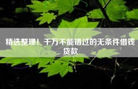 精选整理！千万不能错过的无条件借钱贷款