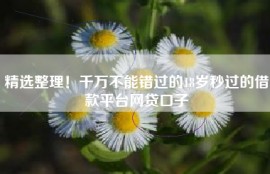 精选整理！千万不能错过的18岁秒过的借款平台网贷口子