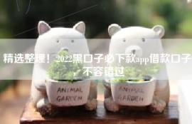 精选整理！2022黑口子必下款app借款口子，不容错过