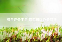 综合评分不足 哪里可以办分期贷