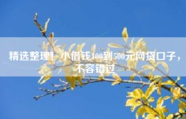 精选整理！小借钱100到500元网贷口子，不容错过