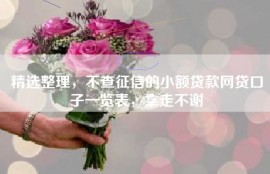 精选整理，不查征信的小额贷款网贷口子一览表，拿走不谢