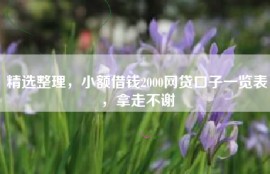 精选整理，小额借钱2000网贷口子一览表，拿走不谢