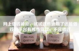网上借钱被拒，试试这些逾期了还能借钱的平台有哪些贷款，不容错过