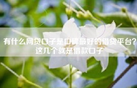 有什么网贷口子是口碑最好的借贷平台？这几个就是借款口子