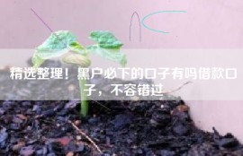 精选整理！黑户必下的口子有吗借款口子，不容错过