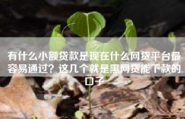 有什么小额贷款是现在什么网贷平台最容易通过？这几个就是黑网贷能下款的口子