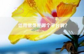 信用借条是哪个平台啊？