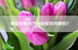 微信转账对方还没收如何撤回？