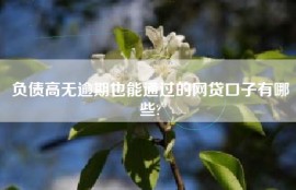 负债高无逾期也能通过的网贷口子有哪些?