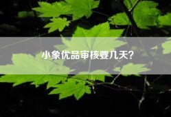 小象优品审核要几天？