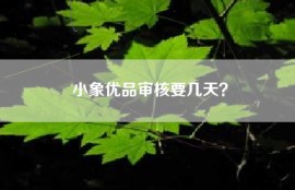 小象优品审核要几天？