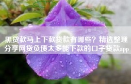 黑贷款马上下款贷款有哪些？精选整理分享网贷负债太多能下款的口子贷款app