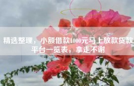 精选整理，小额借款1000元马上放款贷款平台一览表，拿走不谢