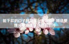 能下款的口子网贷平台有哪些？精选整理分享维维钱包借款软件