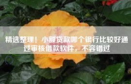 精选整理！小额贷款哪个银行比较好通过审核借款软件，不容错过