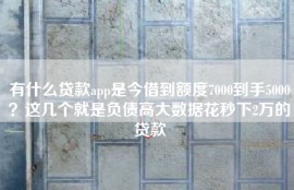 有什么贷款app是今借到额度7000到手5000？这几个就是负债高大数据花秒下2万的贷款