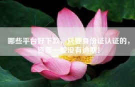 哪些平台好下款，只要身份证认证的，资质一般没有逾期！