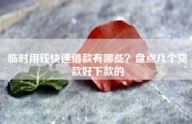 临时用钱快速借款有哪些？盘点几个贷款好下款的