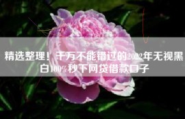 精选整理！千万不能错过的2022年无视黑白100%秒下网贷借款口子