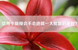 信用卡新规会不会造就一大批新的老赖？