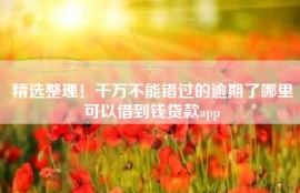 精选整理！千万不能错过的逾期了哪里可以借到钱贷款app