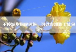 不停城乡居民医保，可以参加职工社保吗？