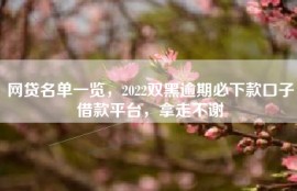 网贷名单一览，2022双黑逾期必下款口子借款平台，拿走不谢