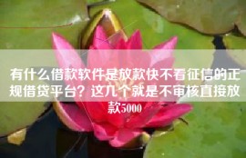 有什么借款软件是放款快不看征信的正规借贷平台？这几个就是不审核直接放款5000