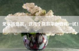 免审核借款，这几个贷款平台值得一试！