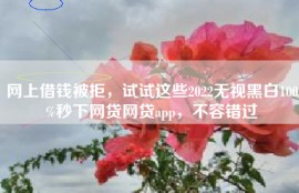 网上借钱被拒，试试这些2022无视黑白100%秒下网贷网贷app，不容错过