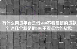 有什么网贷平台是借5000不看征信的贷款？这几个就是借5000不看征信的贷款