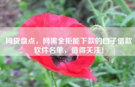 网贷盘点，网黑全拒能下款的口子借款软件名单，值得关注！