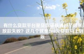 有什么贷款平台是贷款审核通过了结果放款失败？这几个就是2000元贷款马上到账