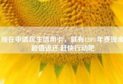 现在申请民生信用卡，就有120%年费现金超值返还.赶快行动吧