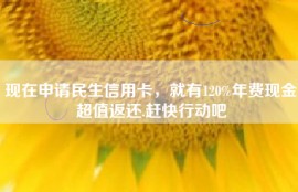 现在申请民生信用卡，就有120%年费现金超值返还.赶快行动吧