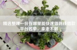 精选整理一份在哪里能快速借到钱借款平台名单，拿走不谢