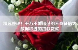 精选整理！千万不能错过的不查征信大数据秒过的贷款贷款