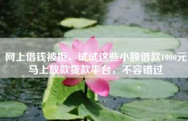 网上借钱被拒，试试这些小额借款1000元马上放款贷款平台，不容错过