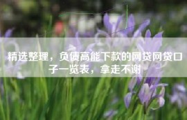 精选整理，负债高能下款的网贷网贷口子一览表，拿走不谢