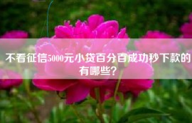 不看征信5000元小贷百分百成功秒下款的有哪些？